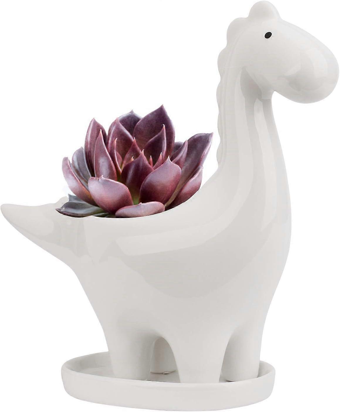 2025 ، وعاء سيراميك عصاري مع صحن ، وعاء زهور صبار على شكل ديناصور ، وعاء نباتات داخلي صغير هدية ديكو