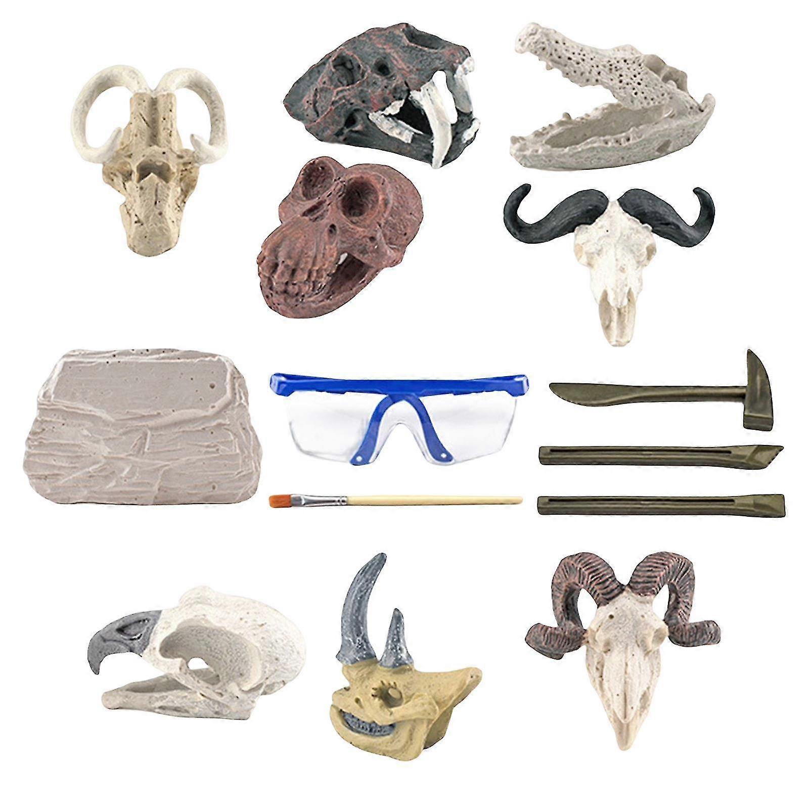 恐竜発掘キット幼児の動物の頭蓋骨のための考古学発見キット