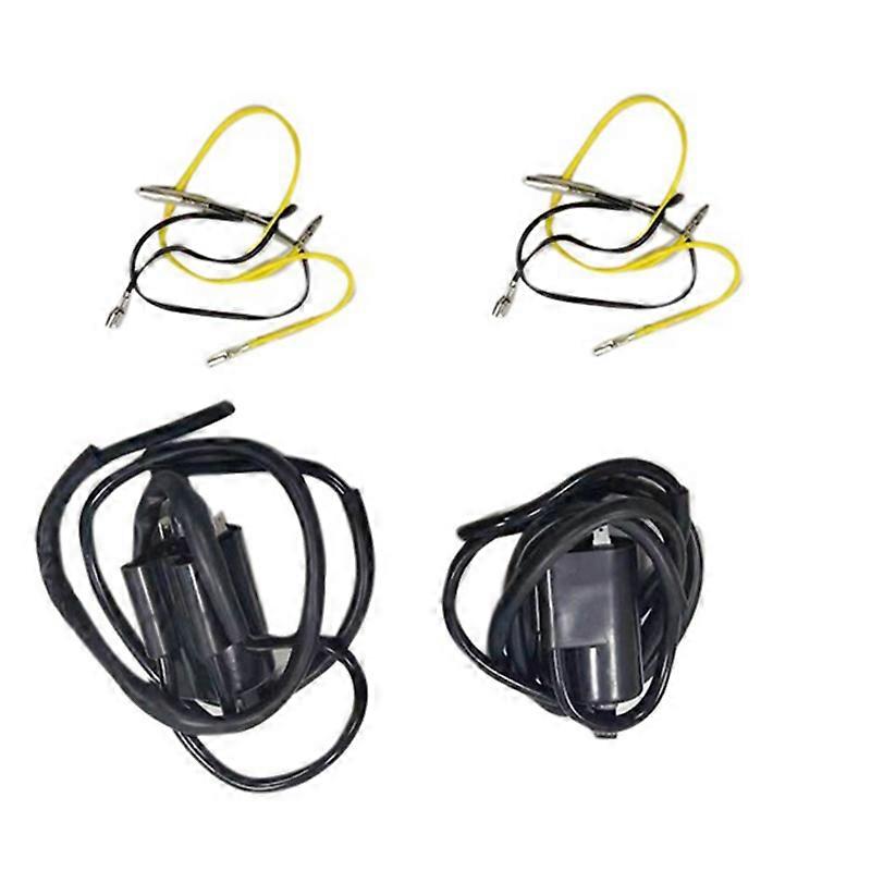 2PCS Ignition Coil Motorcycle Ignition Coil for 