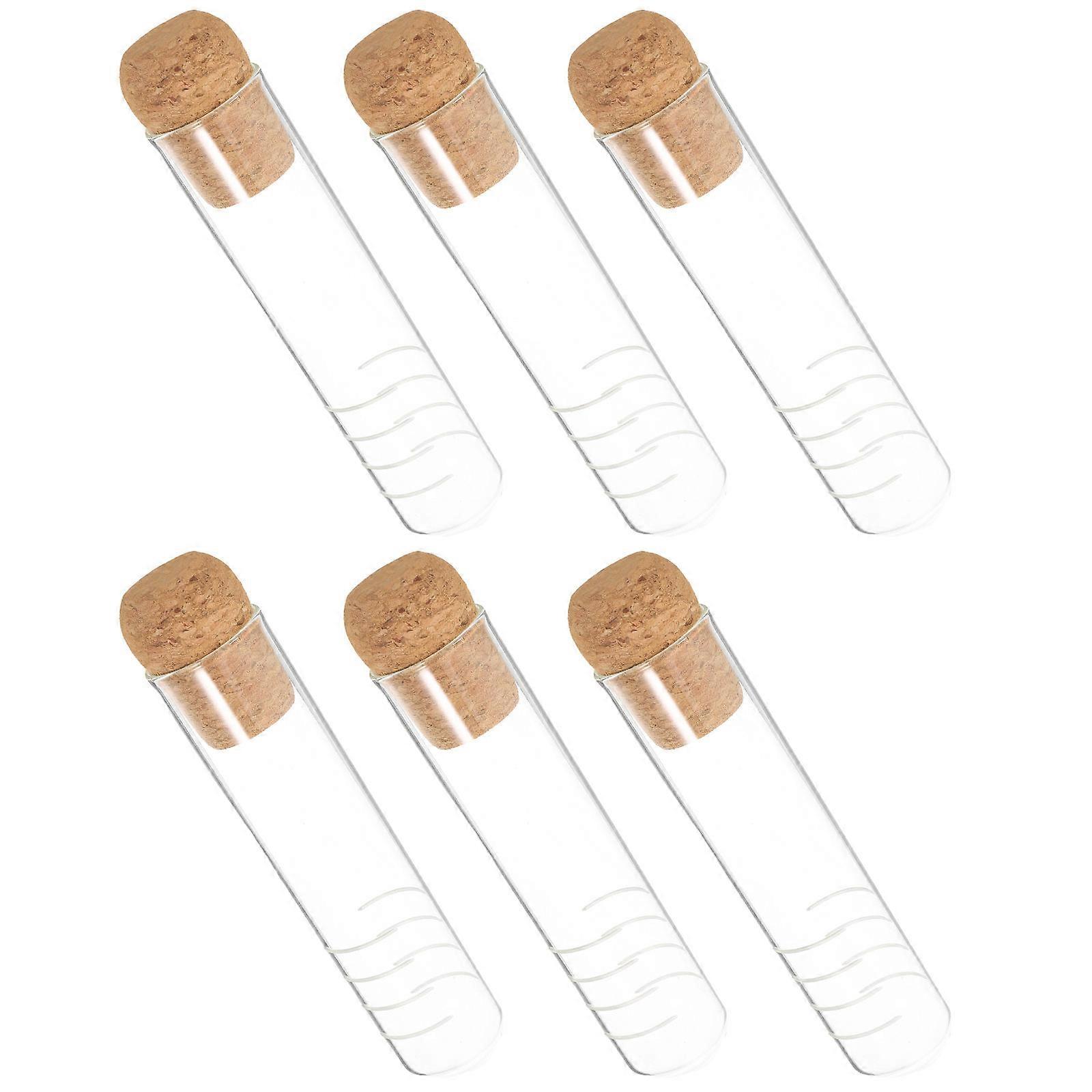 6pcs Glass Tea Infuser with Cork Stopper, Test Tube Design for Loose Leaf Tea , Easy to Clean, Home and Office Use