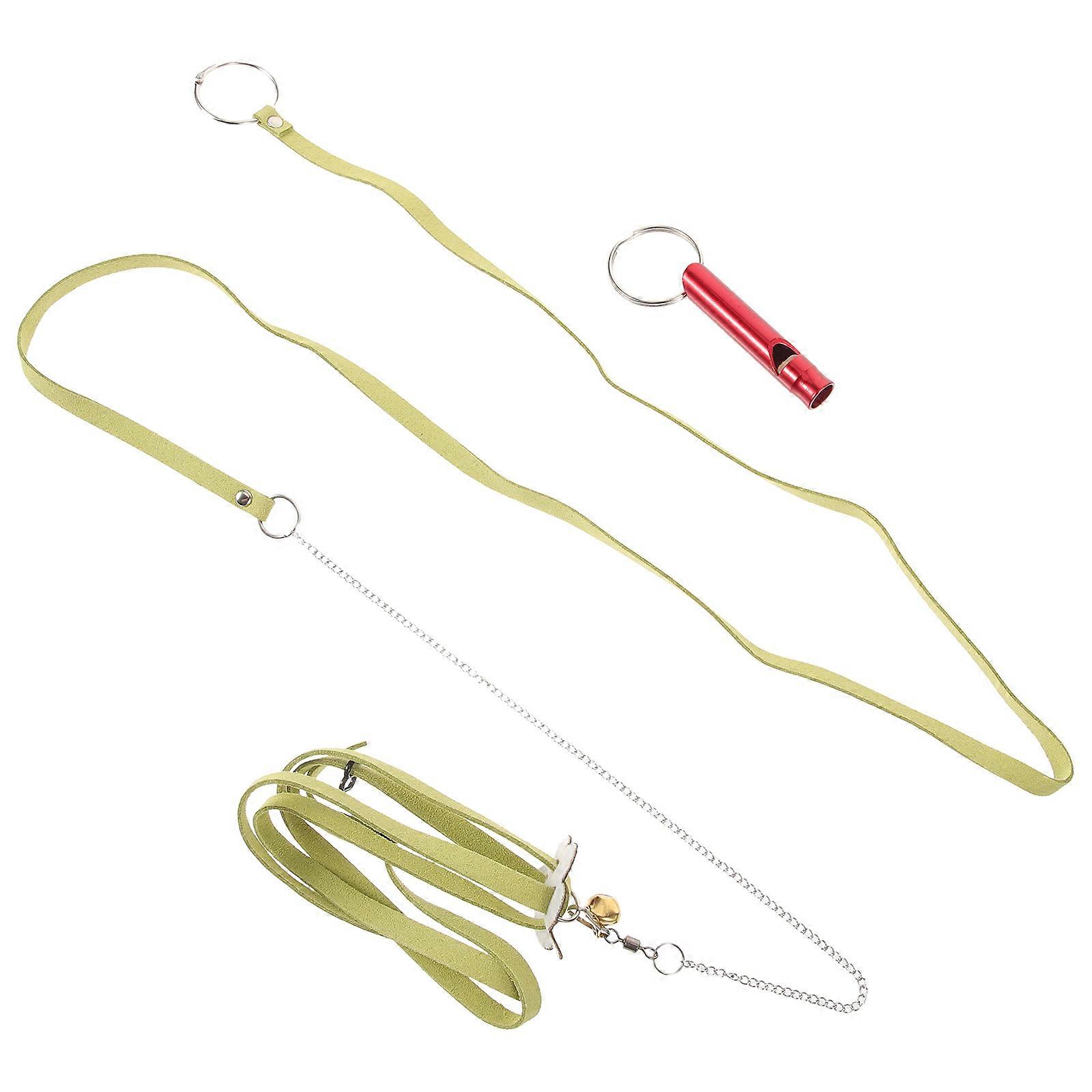 Tortoise Traction Harness with Leash for Outdoor Walking 2Pcs Set
