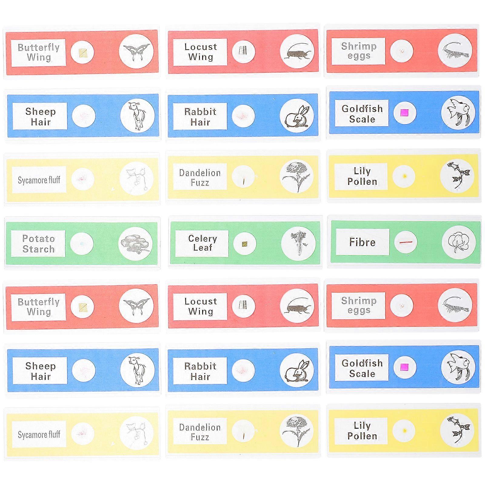 36pcs Plastic Prepared Microscope Slides Insects Plants Sample Microscope Slides