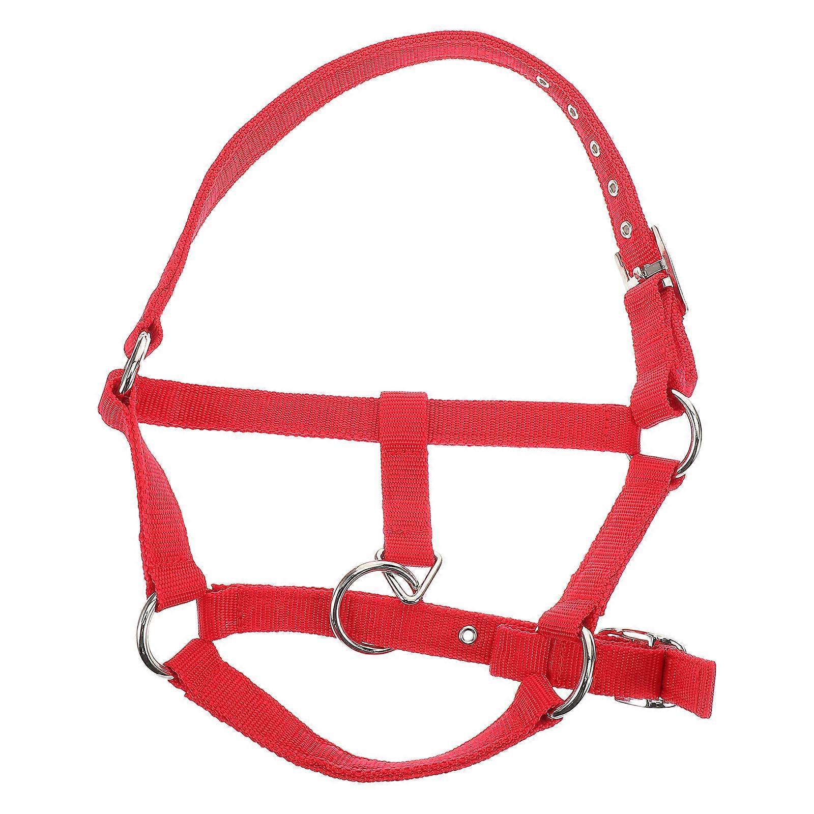 4Pcs Adjustable Horse Halter Nylon Rope Set for Children Training Use