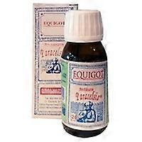 Paracelsia 24 Equigot 50 ml