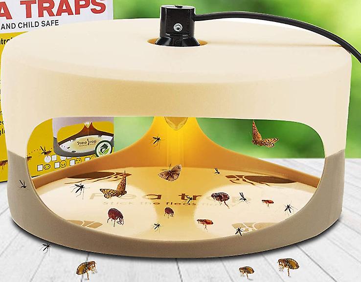 Dome flea trap. Odorless, Non-Toxic, Natural, Insect Traps, Safe for Indoor Use, Children and Pets - Pack of 2, 18.5*11cm