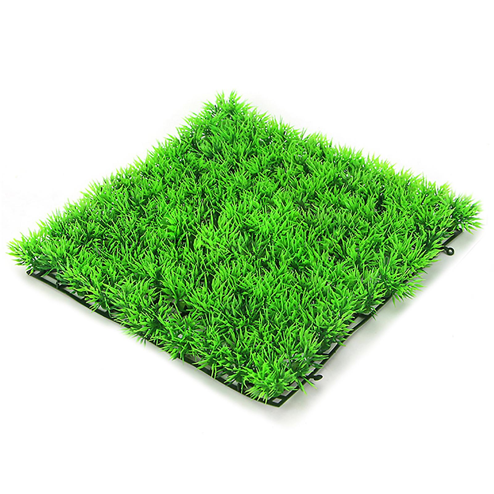 Imitation av akvarium fr vattenvxter