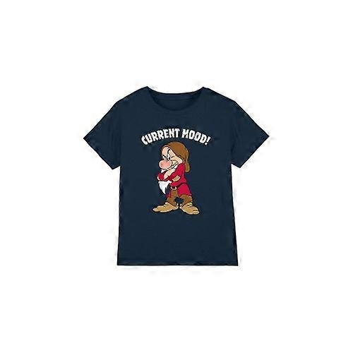 Snow White And The Seven Dwarfs Childrens/Kids Current Mood Grumpy T-Shirt