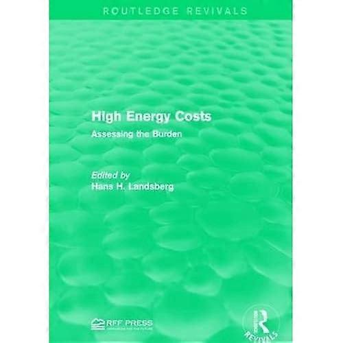 High Energy Costs: Assessing the Burden