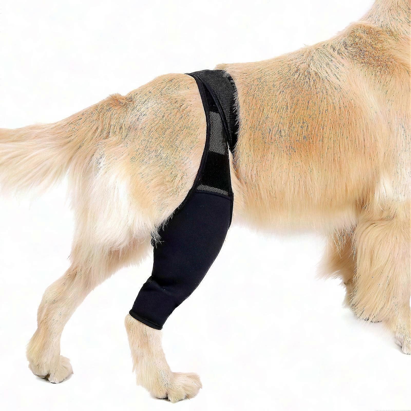 Support Brace for Dog's Front and Rear Legs with Recovery Sleeve