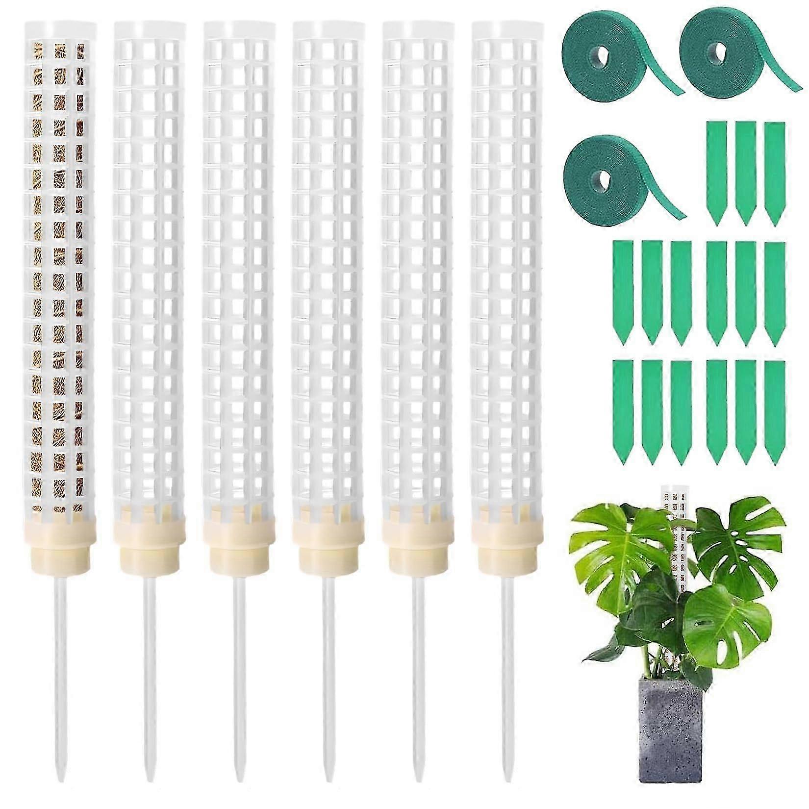 Monstera πέργκολα, βρύα ραβδί, διαφανές σετ 6 ρολών κολλητικής ταινίας + 15 ετικέτες, Trellis Aid Φυτά εσωτερικού χώρου Υποστήριξη φυτών DIY Moss Pole ZD B2 Tw