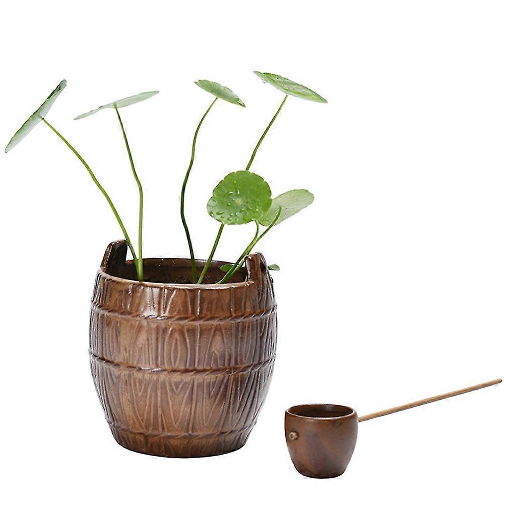 Succulent Flowerpot Flower Pot for Home Hydroponics Flower Pot for Room Multi 1Set