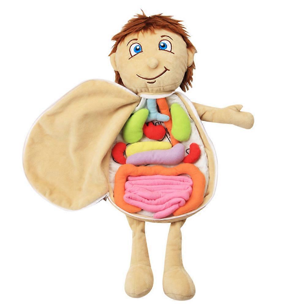 Anatomy Plush, Educational Toy for Kids to Learn Body Organs, Design