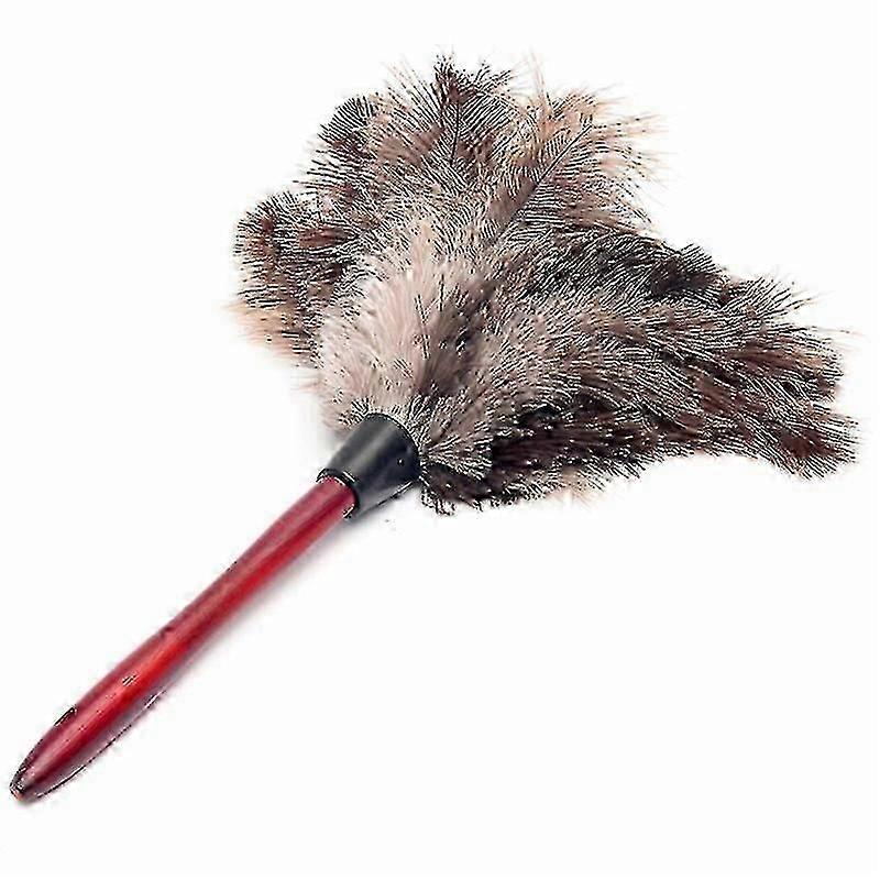 Anti-static Duster Feather Brush Dust Cleaning Tool With Wooden Handle Betterlifefgjinglong