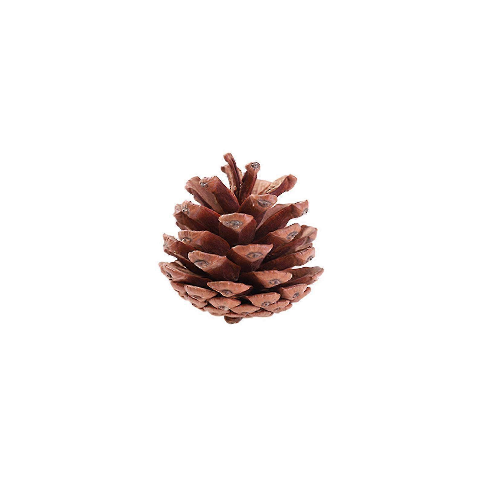 Black Christmas Tree with Native Pines, Cones & Hanging Decorations - Props for Holidays & Wreaths
