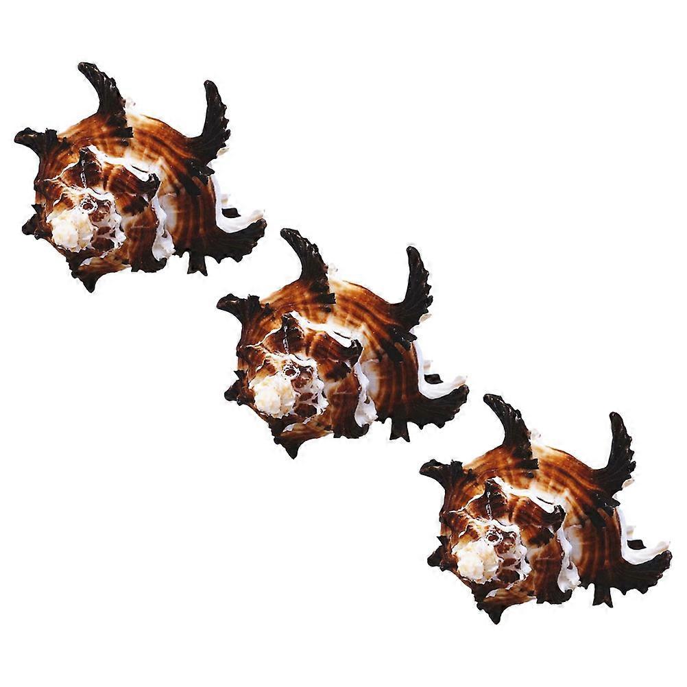 Creative Shell Decor Natural Conch Craft for Aquarium 12 Pieces