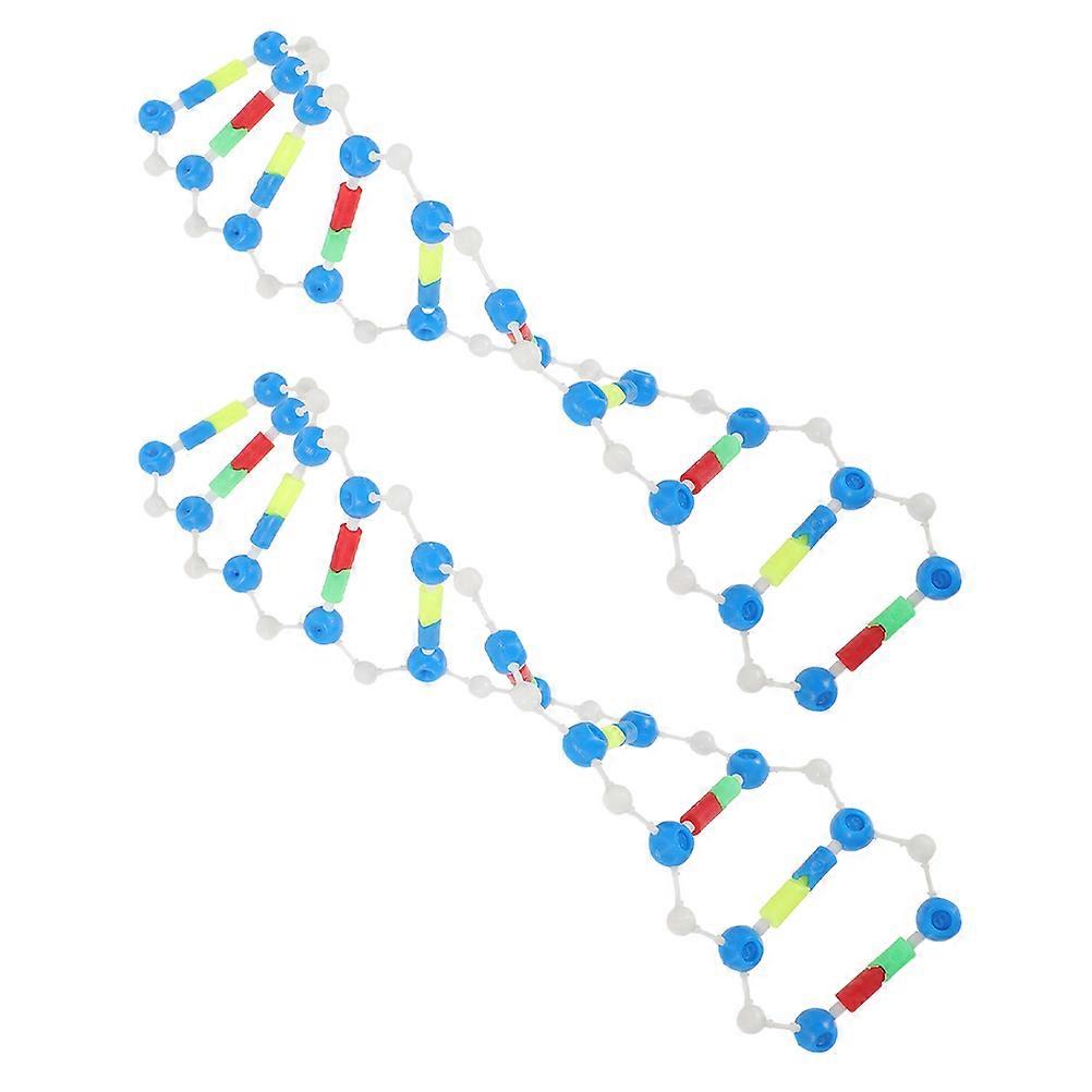 Dna Model Kit for Education 2Pcs Double Helix Structure Biology Tool