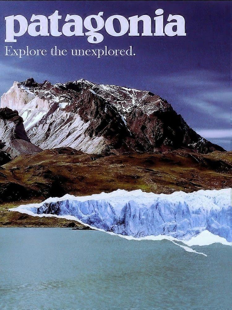 2000s PatagoniaJigsaw Puzzle Brain Teaser P3005