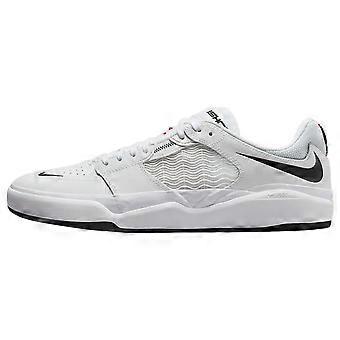 Scarpe da skateboard basse comode Nike SB Ishod unisex, bianche DZ5648-101