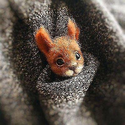 Squirrel Diy Material Kit For Self H made Cute Animal