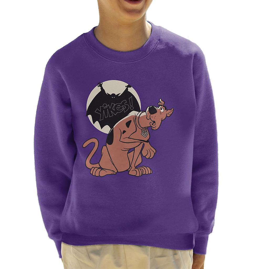 Scooby Doo Halloween Dracula Yikes Kid's Sweatshirt