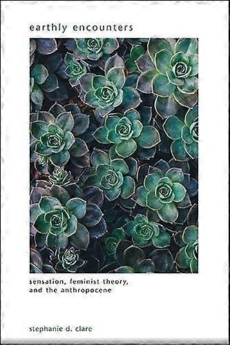 Earthly Encounters by Stephanie D. Clare Paperback Book
