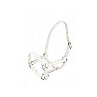 Headcollar And Halter For Mini Foal
