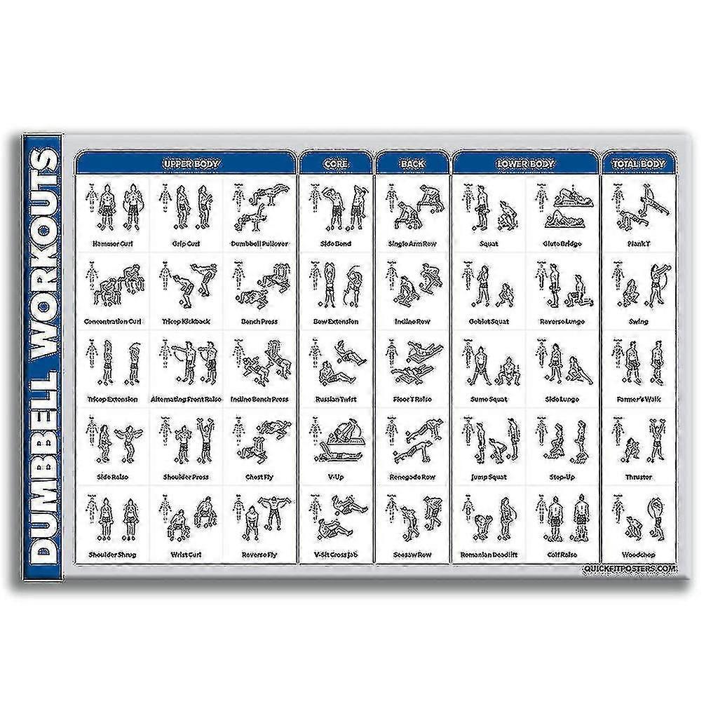 Learning Dumbbell Workout Exercise Poster Laminated Free Weight Body Building