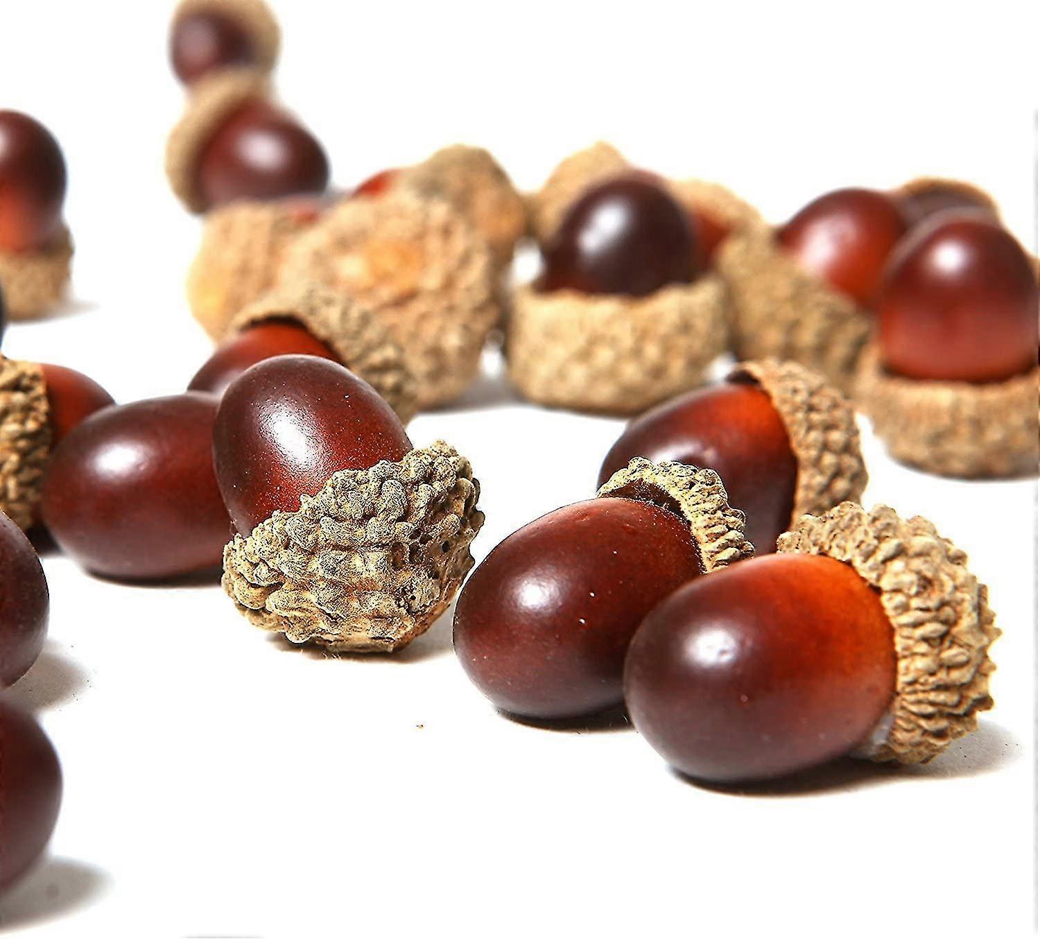 50 Pieces Artificial Acorns With Natural Acorn Cap Fake Acorn