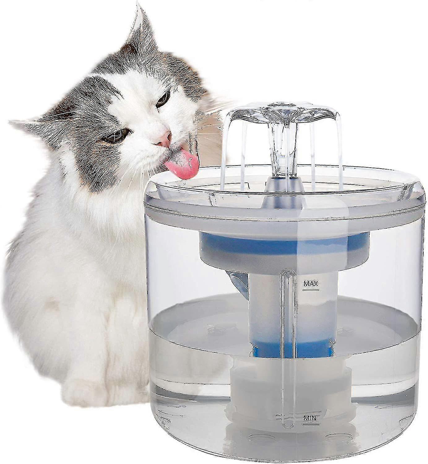 Automatic Pet Water Fountain Automatic Cycle Filter Transparent Cat Waterer With Motion Sensor
