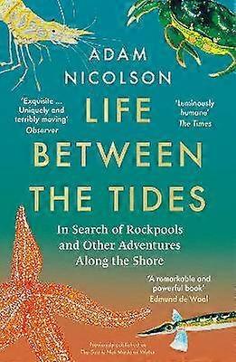 Life Between the Tides