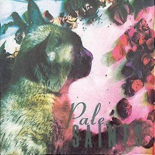 Pale Saints The Comforts Of Madness CD (1993)