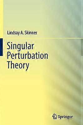 Singular Perturbation Theory
