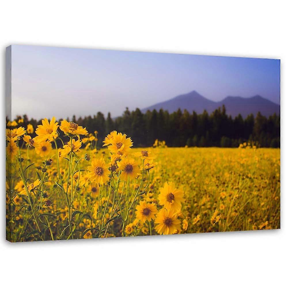 Leinwandbild, Feld gelbe Blumen - 60x40