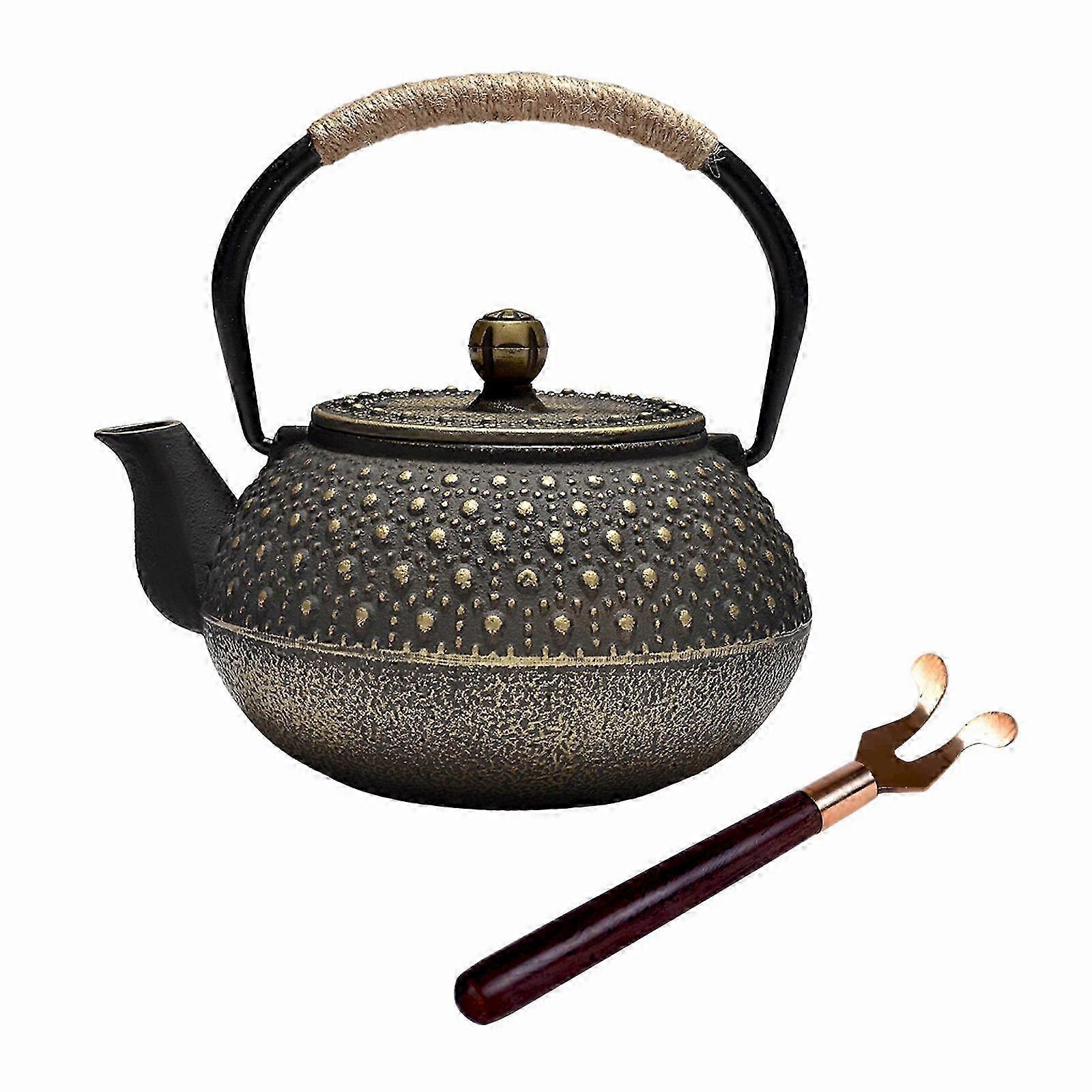 Cast Iron Teapot with Removable Tea Filter for Home Kitchen Indoor Use