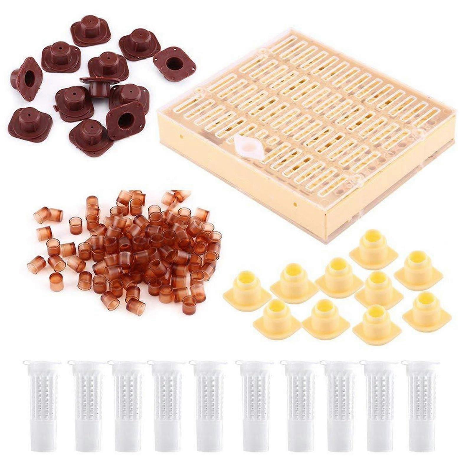 Beekeeper Equipment Queen Breeding Box for Hobbyists - Durable Plastic Hive for Enhancing Bee Population Growth