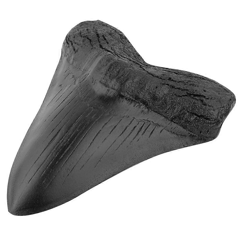 Megalodon Shark Tooth, 5inch Shark Teeth Model Easy Clean Home Decoration