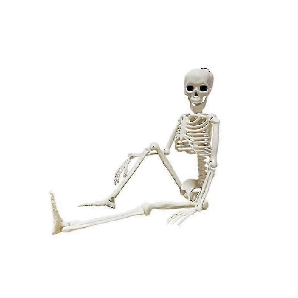 Skeleton Full Life Size Poseable Human Halloween Party Prop Haunted House Decorg