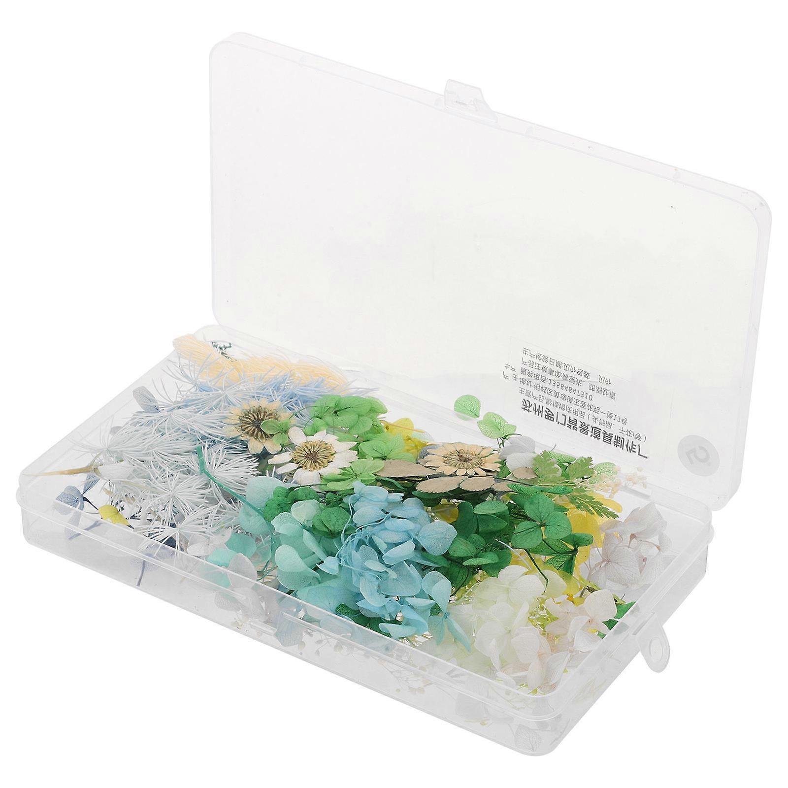 Mixed Pressed Dried Flowers for DIY Art Craft and Floral Decoration Suitable for Wedding Season in Multi Color 2 Boxes
