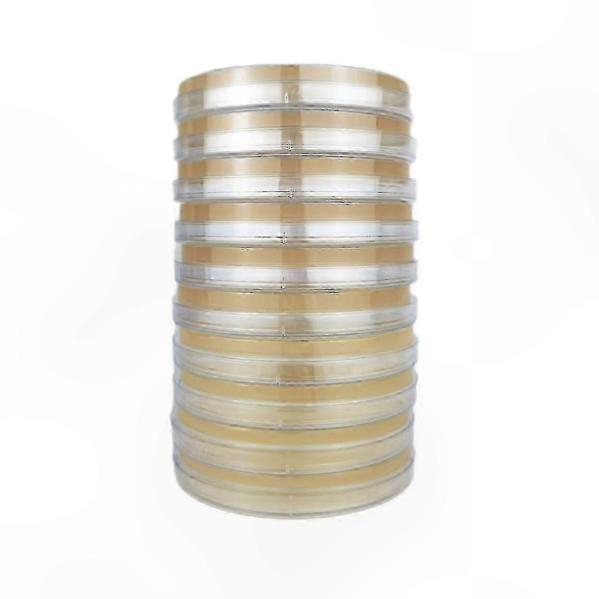 Mushroom Cultivation Agar Plates for Home Lab Testing & Science Projects - 10 Pack