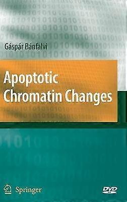 Apoptotic Chromatin Changes