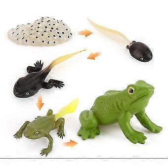 Miniature Simulation Insect Growth Cycle Science And Education Cognitive Model Children's Learning Toys 4pcs