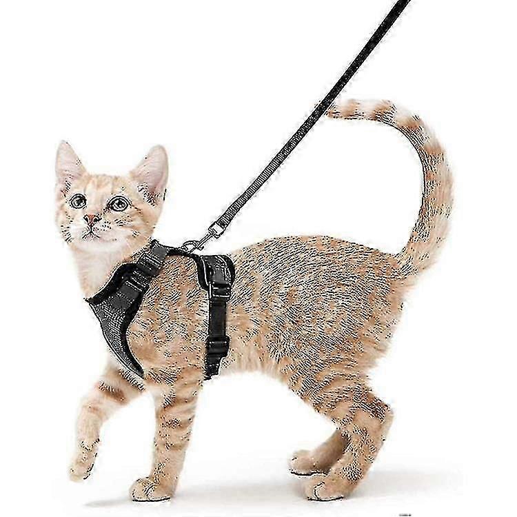 Escape Proof Cat Harness and Leash Set for Walking