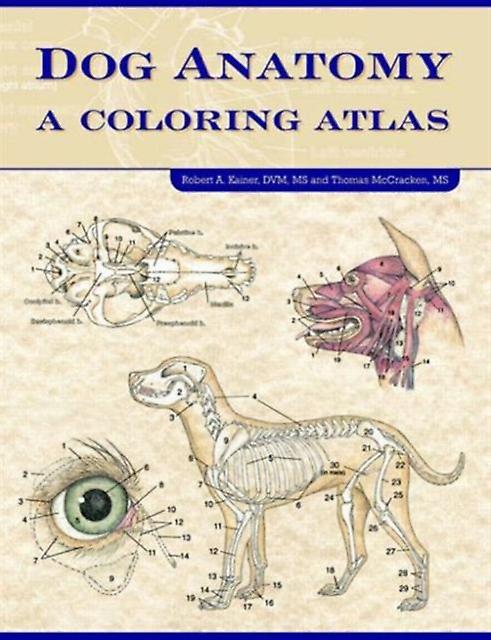 Dog Anatomy - McCraken, Thomas O., MS