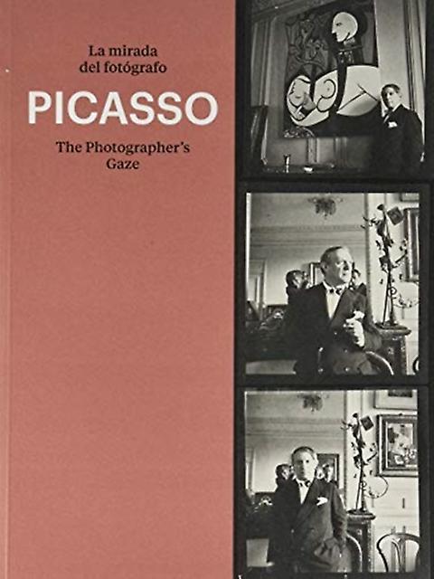 Picasso Paperback