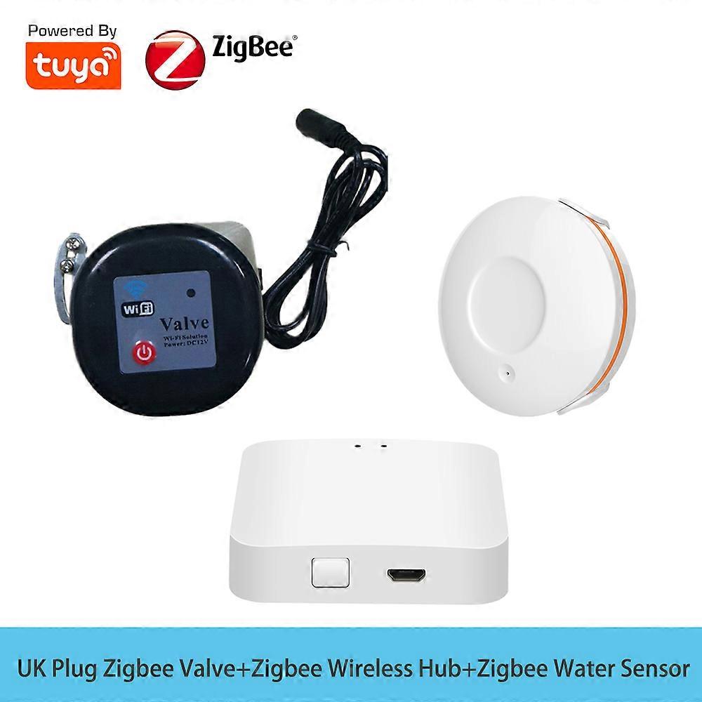 Water Valve With  Water Sensor  Wireless Home Smart Automatica Valve Security Alarm Sensor Water Leak Detector