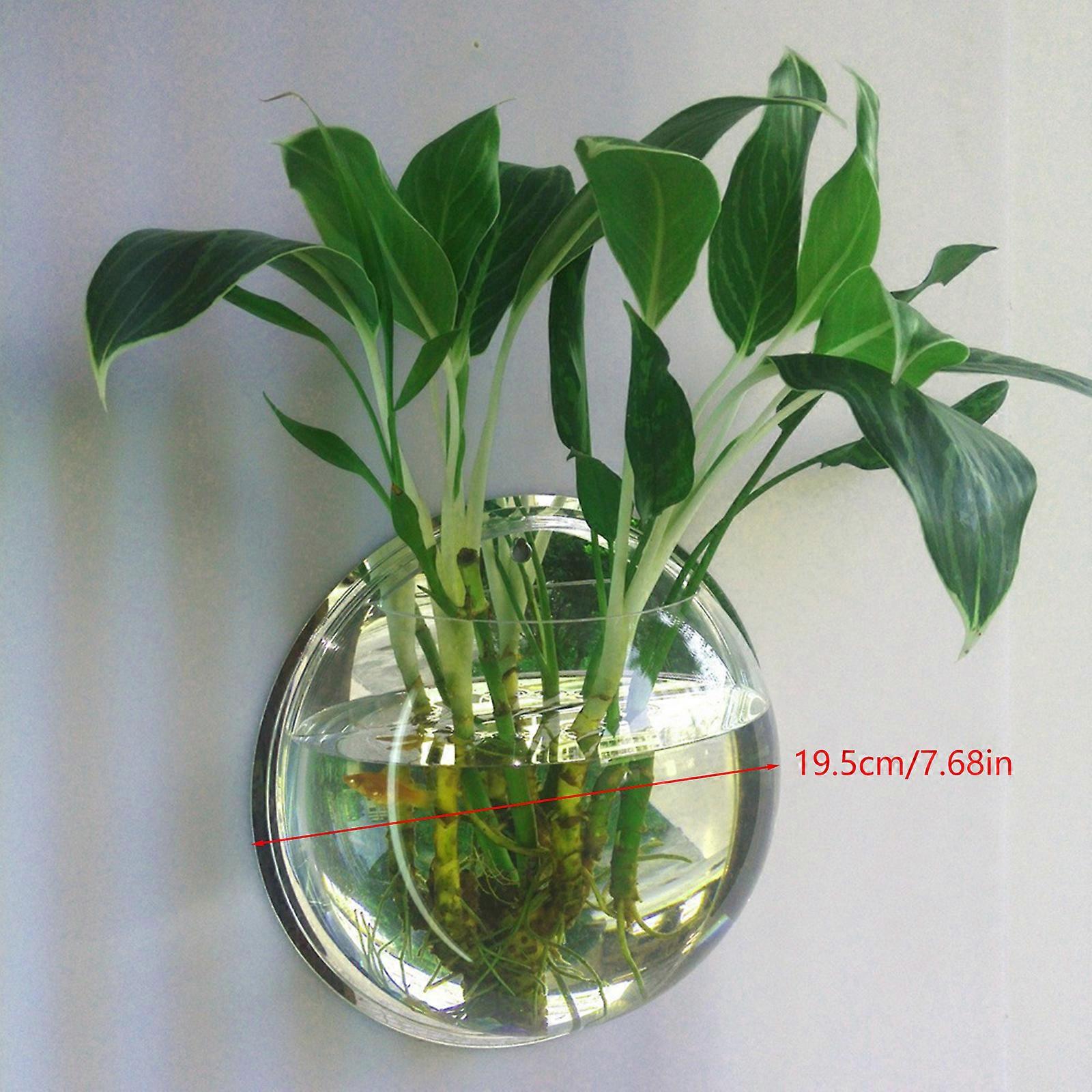 Tigela de peixe pendurada na parede Acrílico Vaso de plantas montado na parede Peixe pequeno para decoração de tanque Plantador 5,9 polegadas 7,7 polegadas 10,2 polegadas