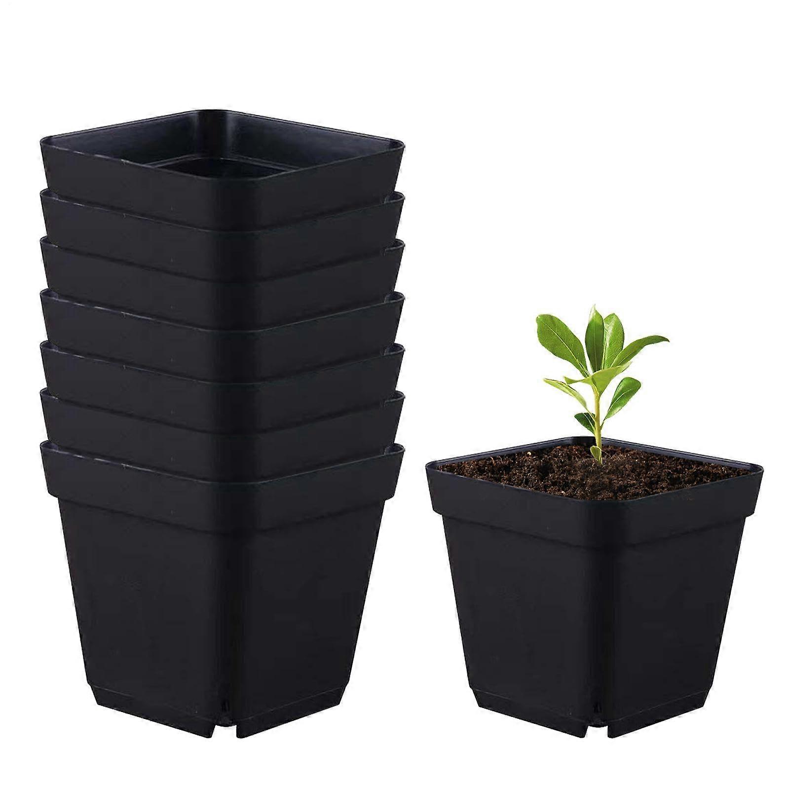 Starter pots for planting, starter pots 50pcs seedling cups square black reusable, seedling pots nursery garden kit for fruit seedlings plants 10cm