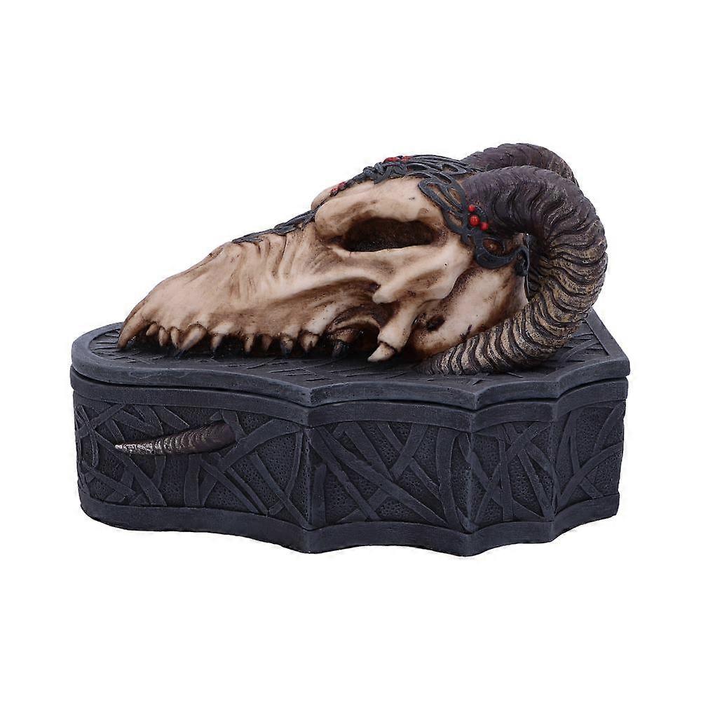 Dragon Skull Box Monte Moore 177cm