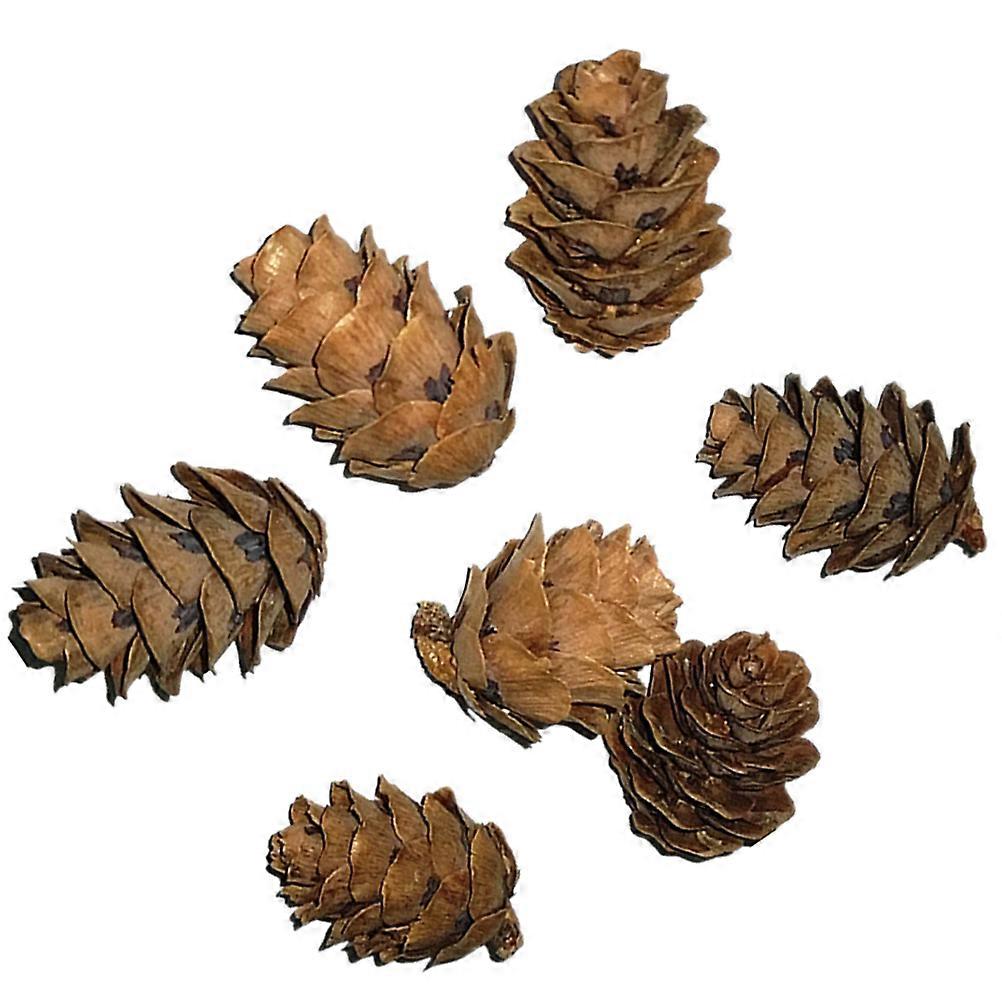 50 Assorted Color Synthetic Pine Cones for Decoration Lightweight Reusable Photo Props