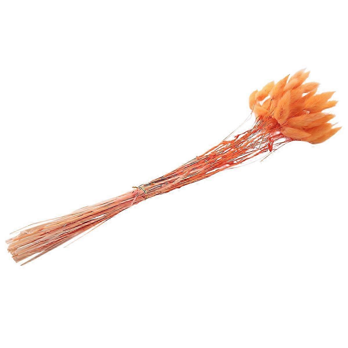 60Pcs Fall Dried Flowers: Bunny Dried Flowers & Lagurus Ovatus Tail Grass for Dried Floral Arrangements